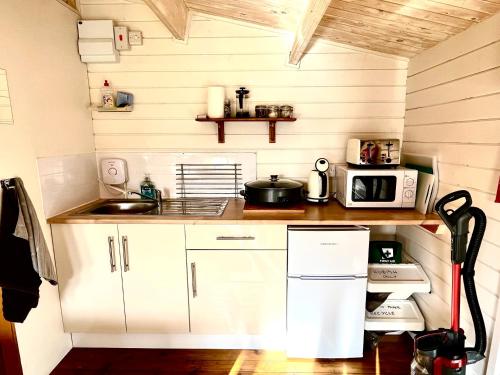 多切斯特Primrose Cabin的小厨房配有白色橱柜和微波炉