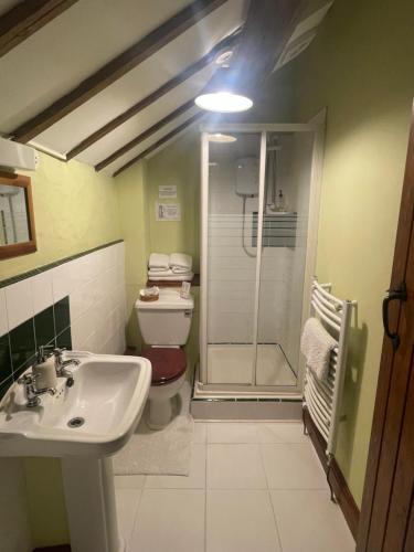 巴里The Old Barn的浴室配有卫生间、盥洗盆和淋浴。