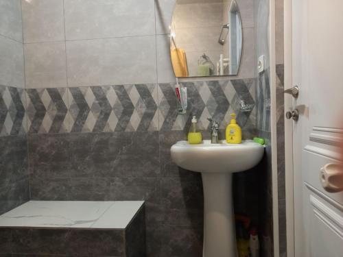 埃里温Malacia apartments的一间带水槽和淋浴的浴室