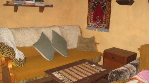 戈斯蒂宁Zagroda Zalipie的客厅配有带枕头的沙发
