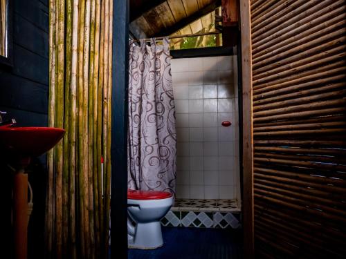 巴亚索拉诺Ecohotel Riomar Mecana的一间带卫生间和淋浴帘的浴室