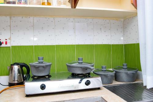基苏木Tina's 1 BR Apartment with Fast Wi-Fi, Parking and Netflix - Kisumu的厨房配有绿色和白色瓷砖炉灶。