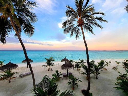 科卢马杜卢Oceana Inn Maldives的享有棕榈树海滩和大海的景色