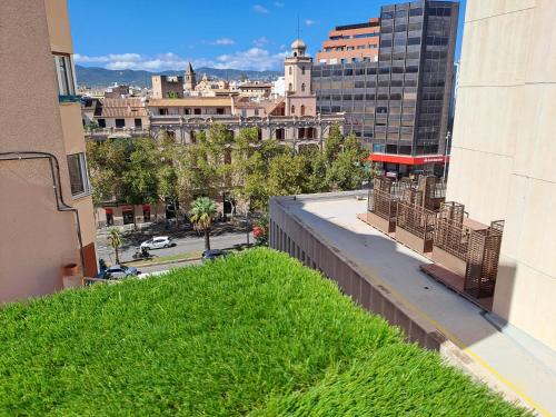 马略卡岛帕尔马Home & Away的绿色草丛中的城市景观