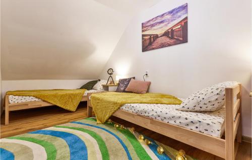 Amazing Home In Augustanovec With Hot Tub的一间带两张床的卧室和地毯