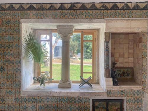 西迪·布·赛义德Lella Kmar B&B avec piscine Sidi Bou Said的一间有窗户的房间,有柱子和植物
