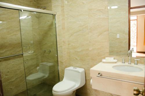 阿雷基帕La Maison d'Elise的浴室配有卫生间、盥洗盆和淋浴。