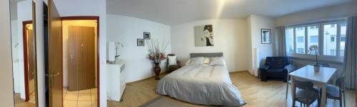 巴塞尔Schweiz (302)的一间卧室配有一张床、一张桌子和一把椅子