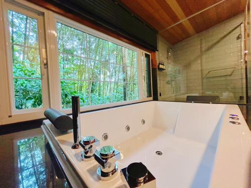 鱼池乡日月潭森堡萊夫莊園的带浴缸的浴室和大窗户