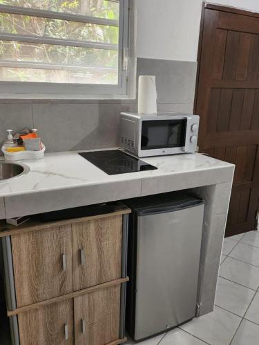 马罗尼河畔圣洛朗Résidence DENGUELE Studio的厨房的台面上配有微波炉