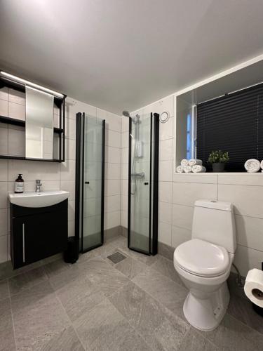 斯塔万格A Place To Stay Stavanger, apartment 1的一间带卫生间和水槽的浴室