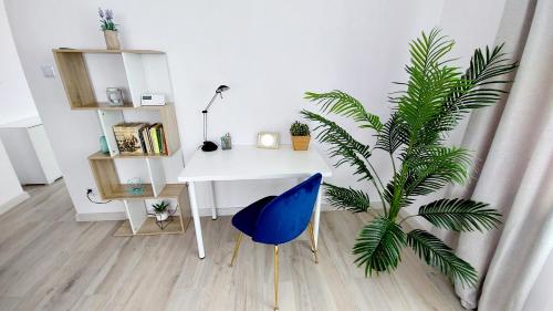 拉多姆Apartament Żurawia的一张桌子,一张桌子上放着蓝色椅子和一棵植物