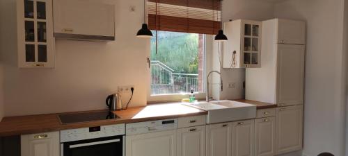 梅尔松根Die Raspel的厨房配有白色橱柜、水槽和窗户。