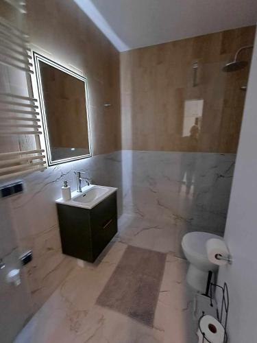 克拉科夫Wielicka Apartment 3的一间带水槽和卫生间的浴室