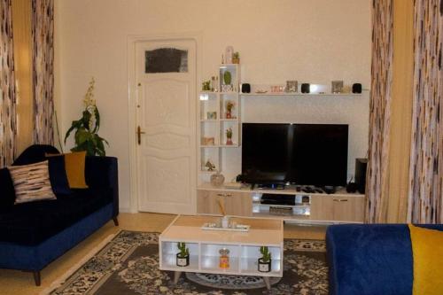 突尼斯Superbe appartement en plein médina de Tunis的带沙发和电视的客厅