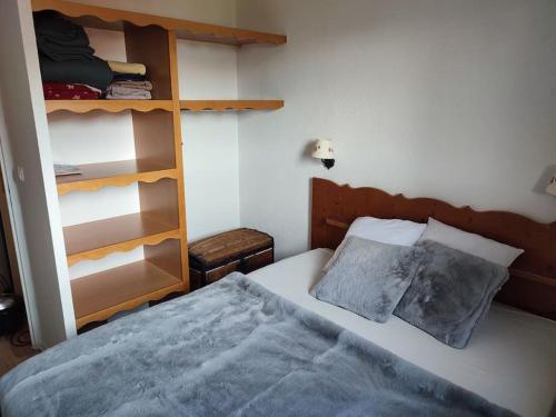 皮伊圣万桑Bel appartement 4 à 6 personnes à 1800的一间卧室设有一张床和一个书架