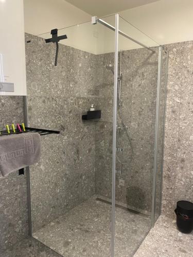 圣珀尔滕Livero Apartments的浴室里设有玻璃门淋浴