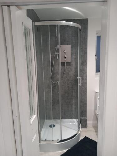 彭里斯Riverside Annex at Ashbank的浴室里设有玻璃门淋浴