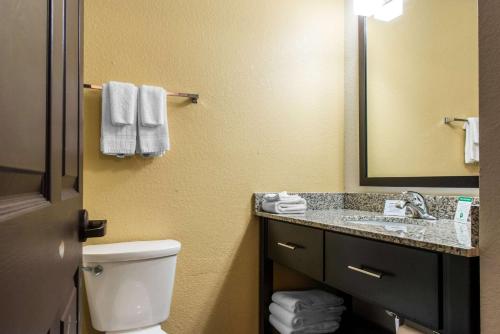 伊姆派瑞尔匹兹堡机场柱石套房酒店的一间带卫生间、水槽和镜子的浴室