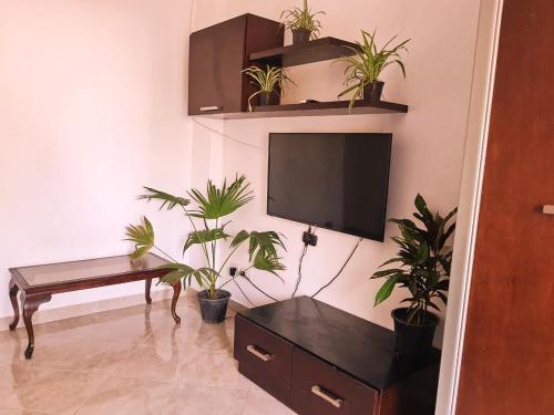 达哈布Lucky palace Dahab的客厅配有盆栽植物和平面电视