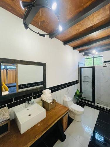 OstumánAlpinas Montecarlo的一间带水槽、卫生间和镜子的浴室