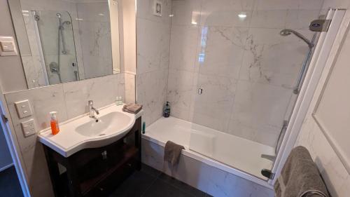 惠灵顿Harbour Lodge Wellington的浴室配有水槽、淋浴和浴缸。