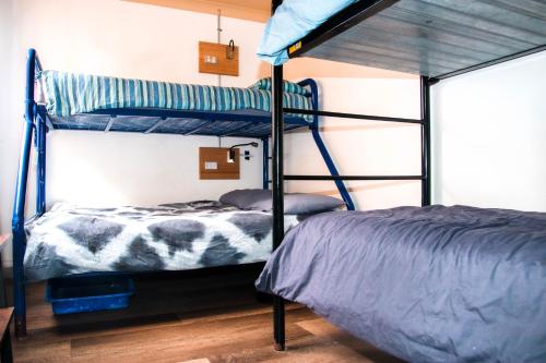 悉尼库吉海滩灵猴旅舍的一间卧室配有两张双层床。