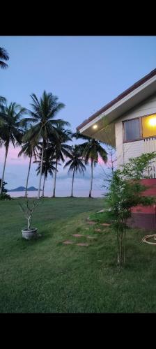 Lang SuanBaan Be Beach的棕榈树庭院和建筑
