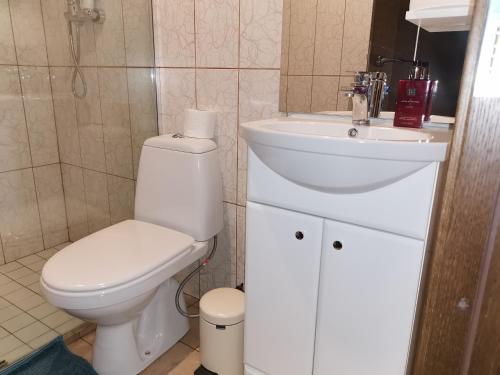 叶尔加瓦''Ābeļdārzs''的浴室配有白色卫生间和盥洗盆。