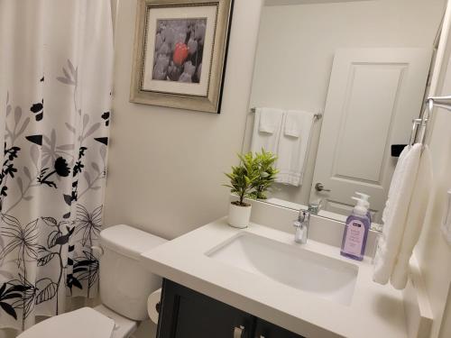 PenetanguisheneChorburjo Cozy Villa - Deluxe Room的白色的浴室设有水槽和淋浴帘