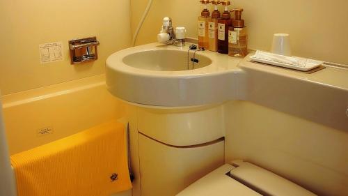青森Aomori Green Park Hotel Annex的一间带水槽和卫生间的小浴室