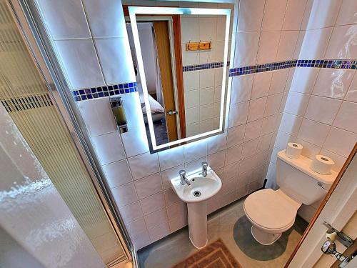纽基Town Lodge的一间带卫生间、水槽和镜子的浴室