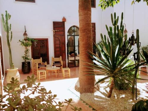 马拉喀什达尔努巴摩洛哥传统庭院住宅的一间种植了许多植物和棕榈树的房间