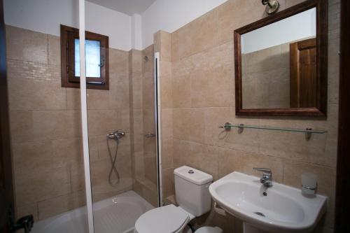 帕莱斯潘蒂雷蒙Enastron Guesthouse的浴室配有卫生间、盥洗盆和淋浴。