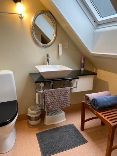 罗斯基勒Country flat的一间带水槽和镜子的浴室