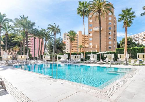 阿利坎特Port Alicante City & Beach的一个带椅子和棕榈树的大型游泳池
