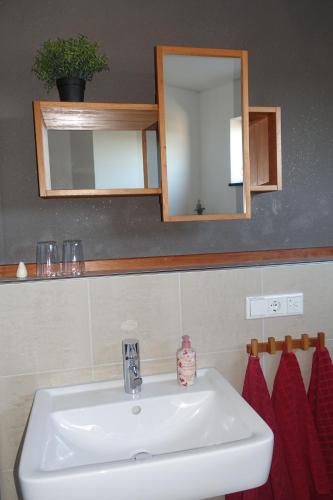 林登贝格Ferienwohnung VITA的浴室设有白色水槽和镜子