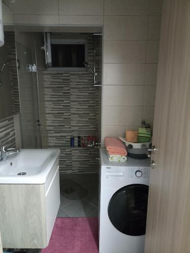 查查克Stančić kraj Morave的一间带水槽和洗衣机的浴室