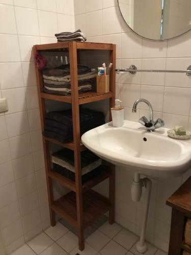 阿姆斯特丹Great House for Two in Amsterdam的浴室设有水槽和带毛巾的架子。