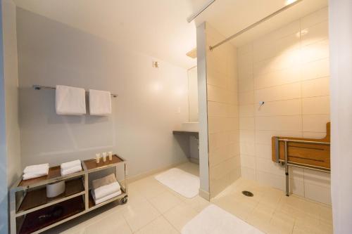 圣地亚哥塔23酒店的设有带步入式淋浴间和盥洗盆的浴室