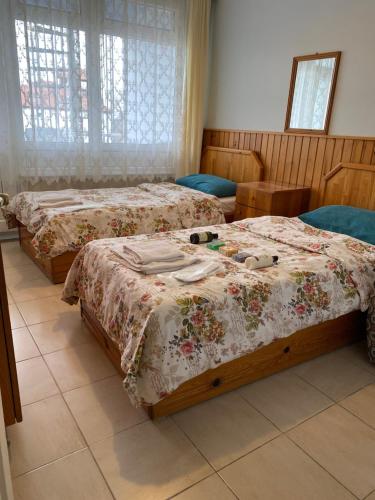 埃利特温泉CAN APART KAPLICA OTEL的配有两张床的客房内。