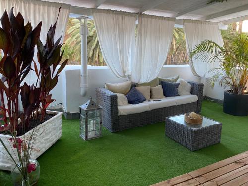 大加那利岛拉斯帕尔马斯Casa Doramas B&B VV的带沙发和绿色地毯的客厅