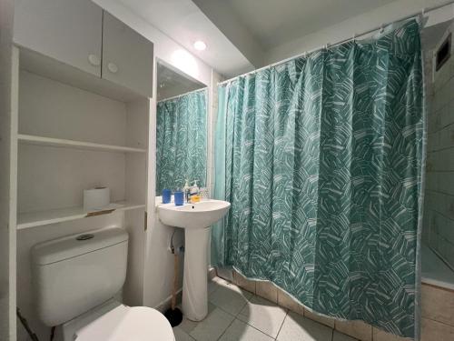 圣地亚哥Departamentos Providencia J&M的浴室配有卫生间、盥洗盆和淋浴。