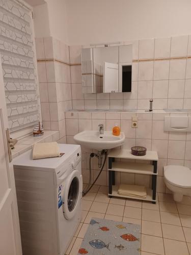 格赖夫斯瓦尔德FeWo s Runde Wiese WR的一间带洗衣机和水槽的浴室