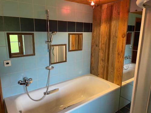 弗鲁蒂根Edelweiss 4 Zi Ferienwohnung in Landhaus的带浴缸和淋浴的浴室