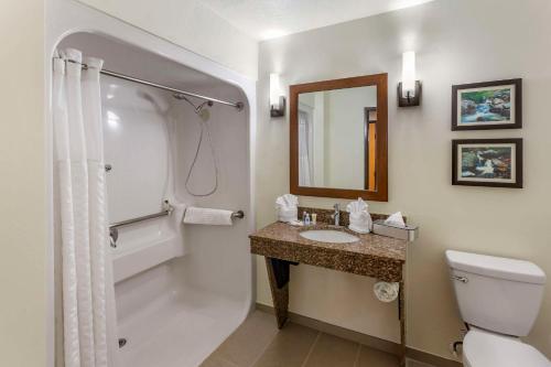 奥格登Comfort Suites Ogden Conference Center的浴室配有卫生间、盥洗盆和淋浴。