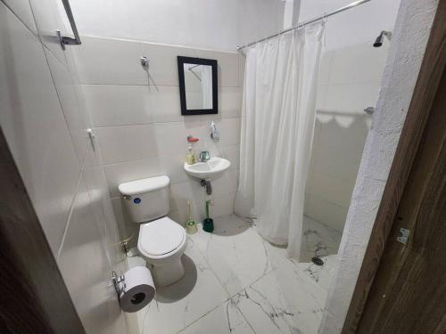 梅尔加Agradable casa ubicada en Melgar的白色的浴室设有卫生间和水槽。