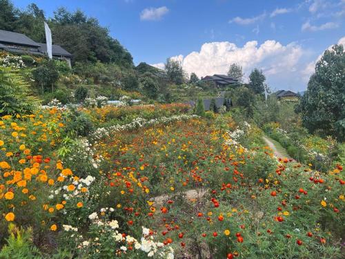 BurhānilkanthaPrakriti Resort and Organic Farm Pvt. Ltd.的山边的花田