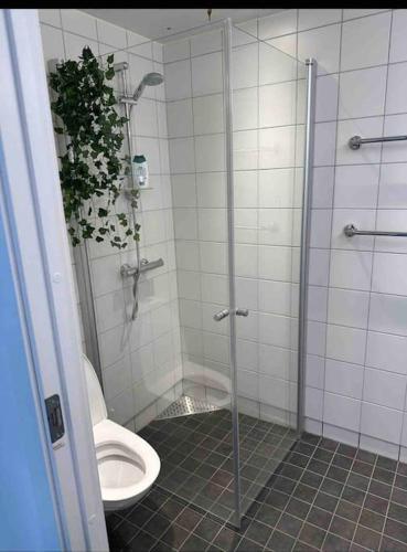 奥斯陆Amazing Studio by Royal Palace的一间带卫生间和玻璃淋浴间的浴室