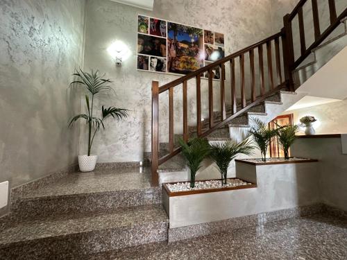 卡萨诺达达Villa 2的墙上有盆栽植物的楼梯